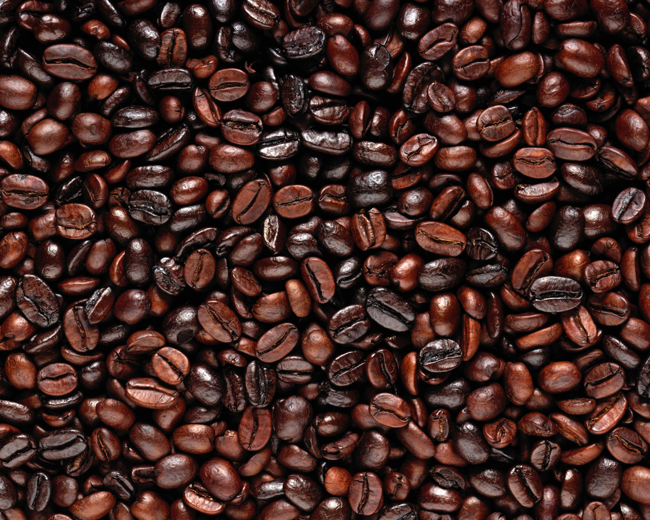 Detail Background Cappucino Cincau Nomer 19