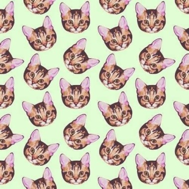 Detail Background Cat Tumblr Nomer 26