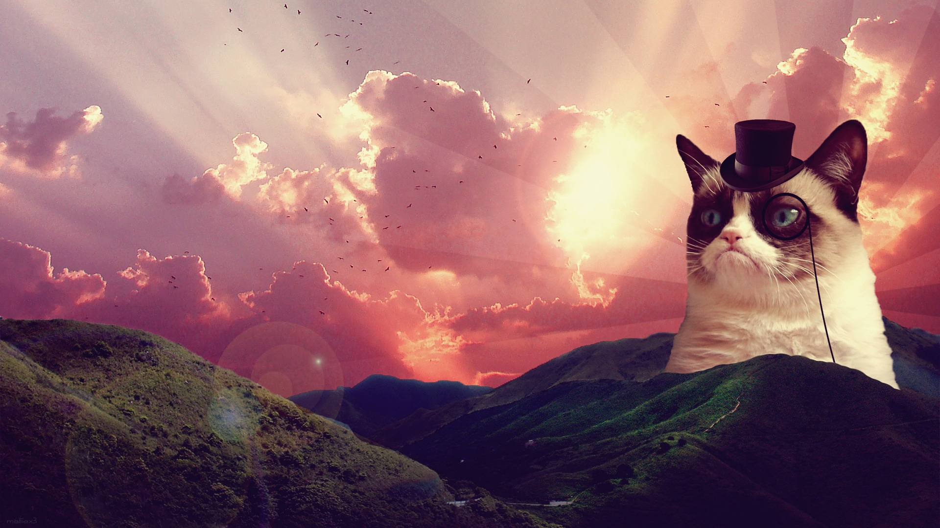 Detail Background Cat Tumblr Nomer 46