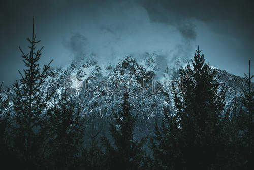 Detail Background Cinematic Nomer 30