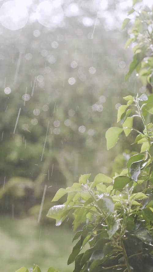 Detail Background Cinematik Nomer 56