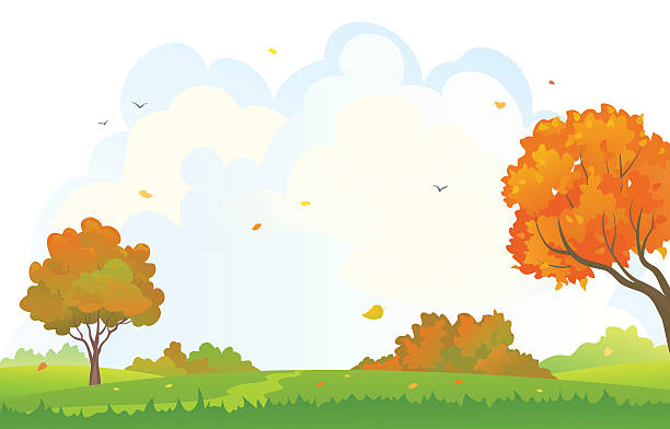 Detail Background Clipart Nomer 4