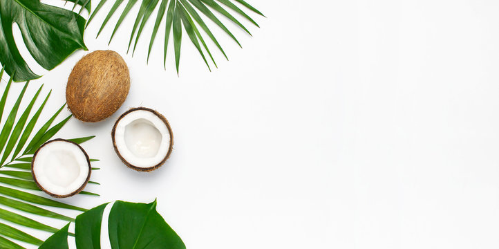 Background Coconut - KibrisPDR
