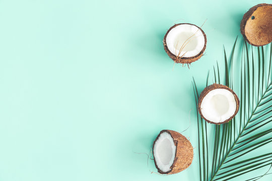 Detail Background Coconut Nomer 2