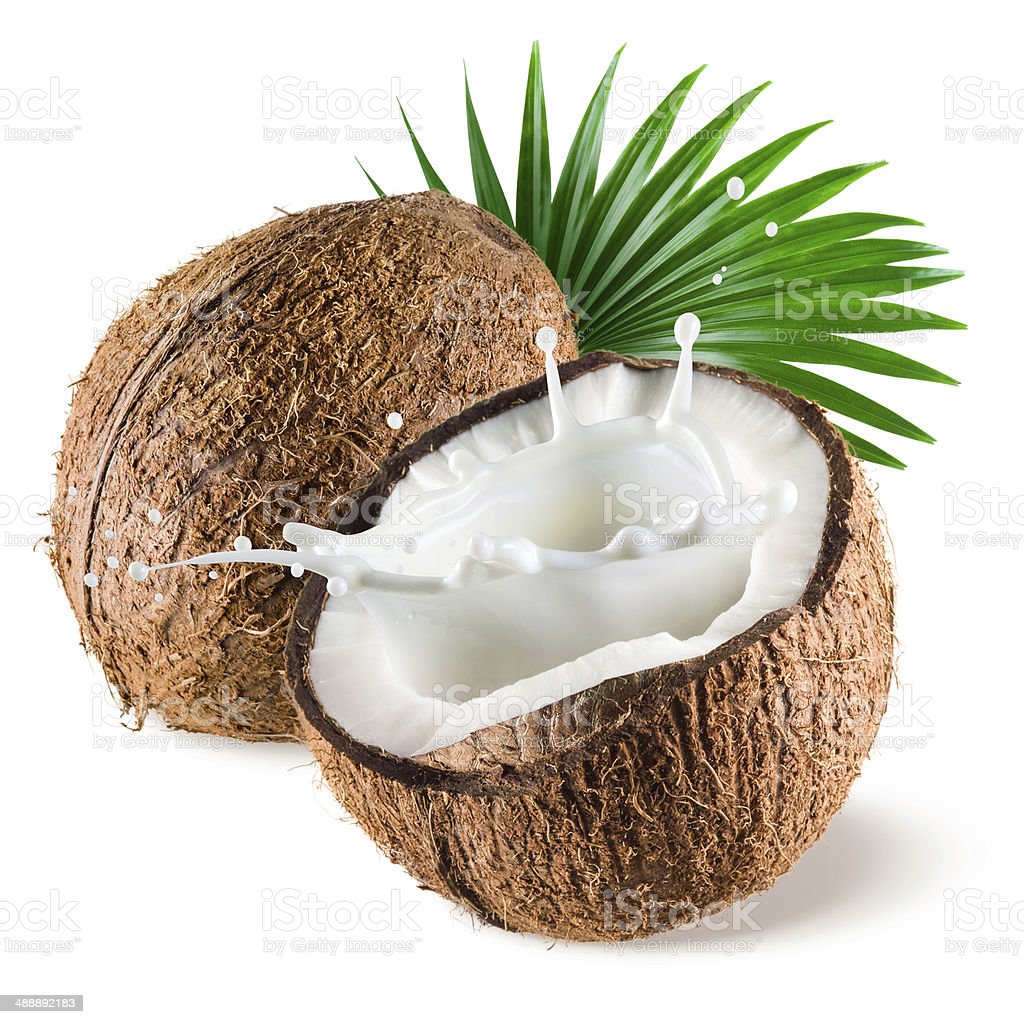 Detail Background Coconut Nomer 17