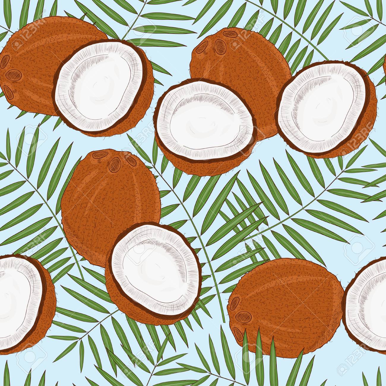Detail Background Coconut Nomer 19