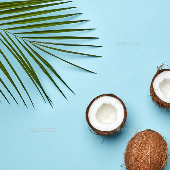 Detail Background Coconut Nomer 27