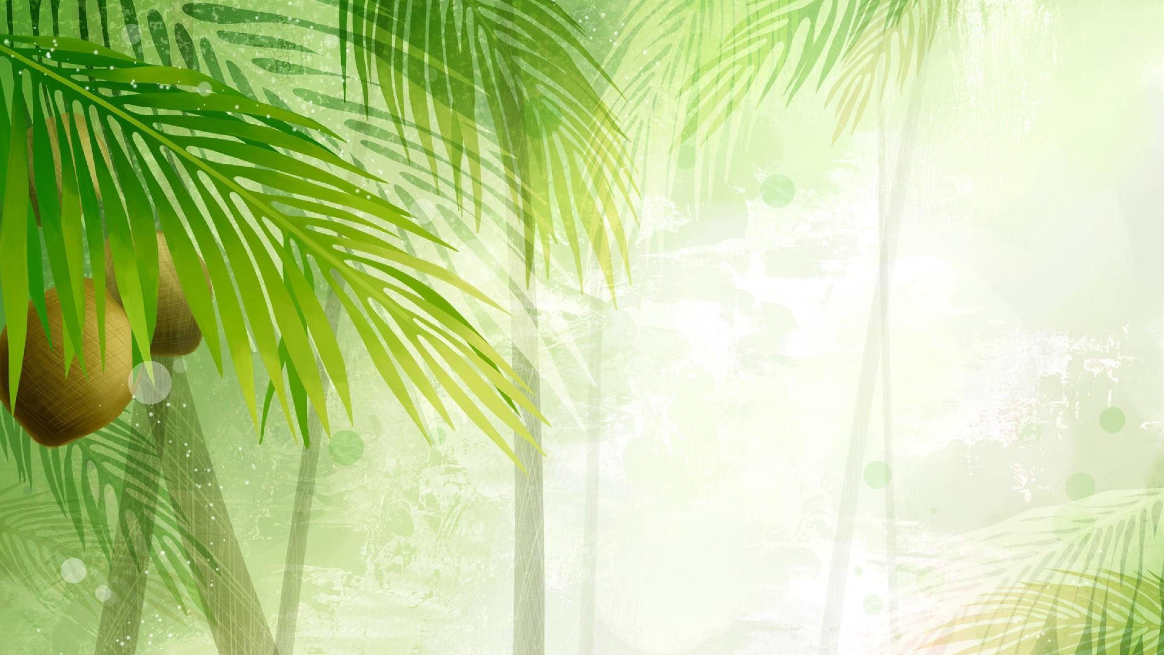 Detail Background Coconut Nomer 28