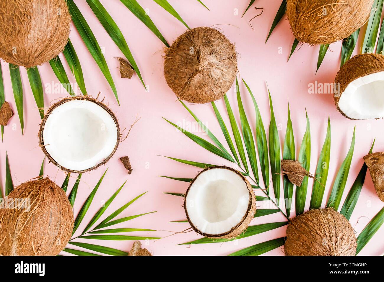 Detail Background Coconut Nomer 29