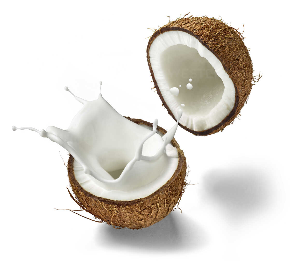 Detail Background Coconut Nomer 34