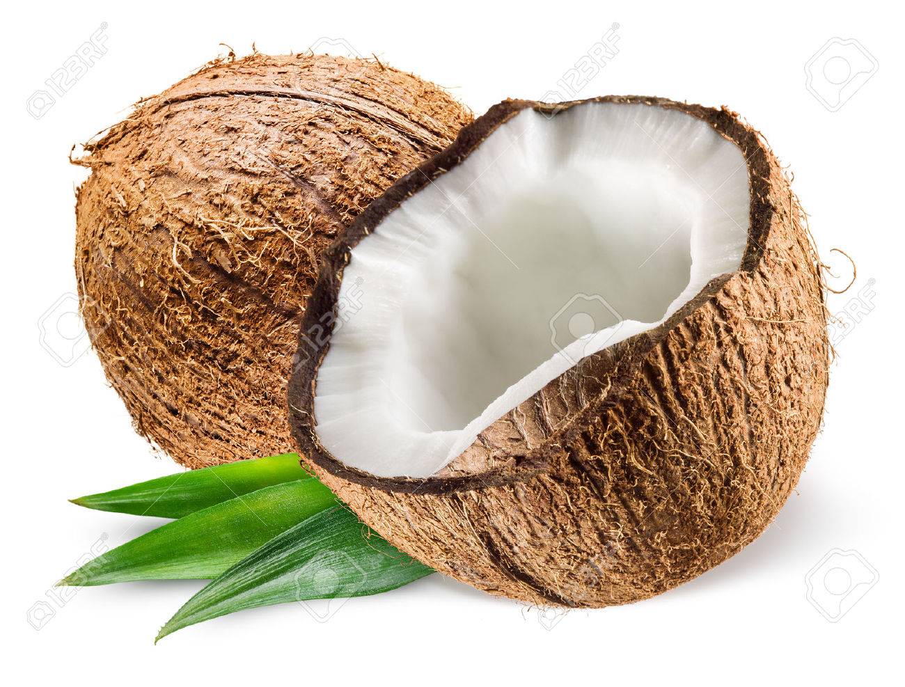 Detail Background Coconut Nomer 35