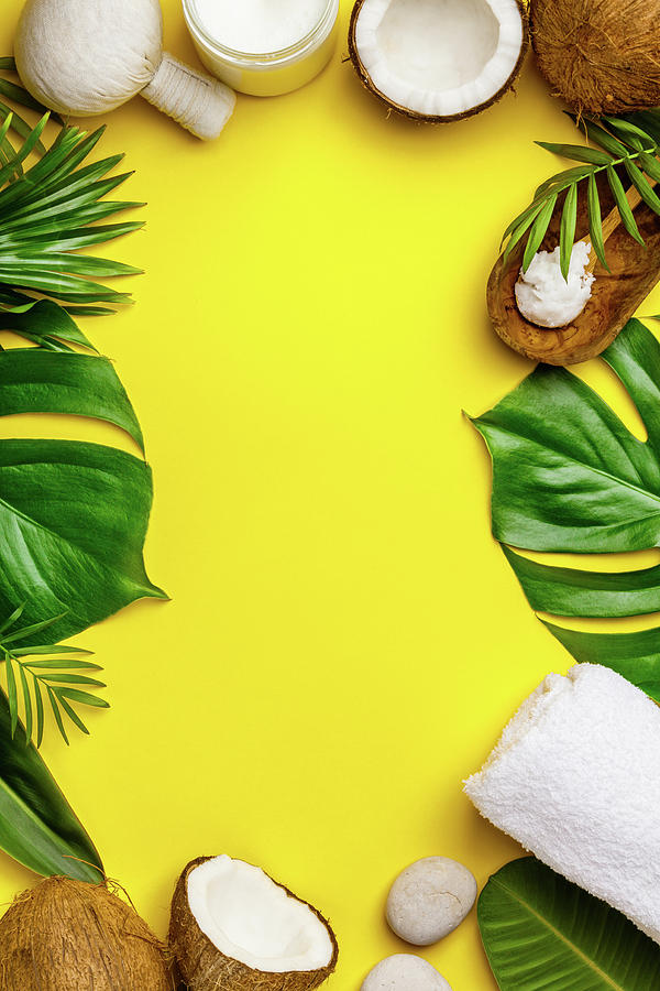Detail Background Coconut Nomer 36