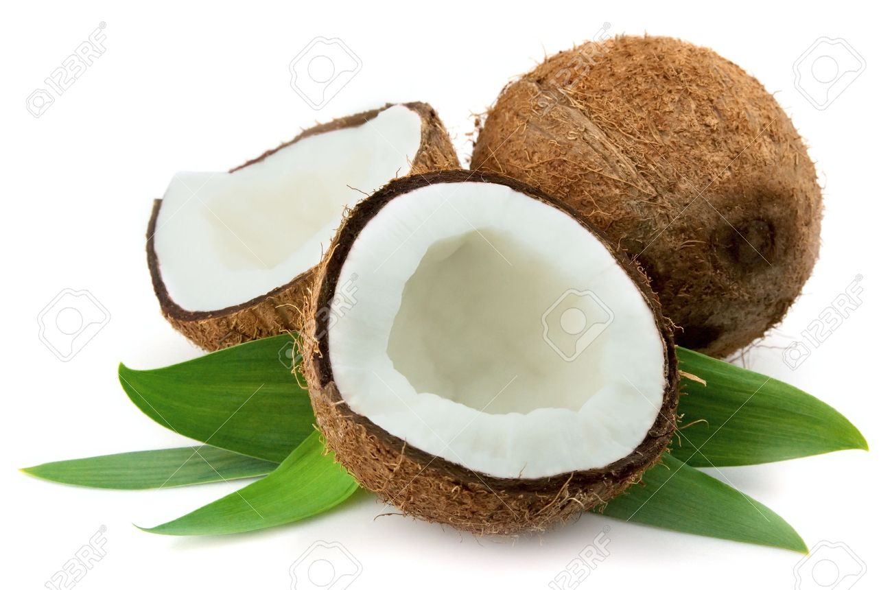 Detail Background Coconut Nomer 45