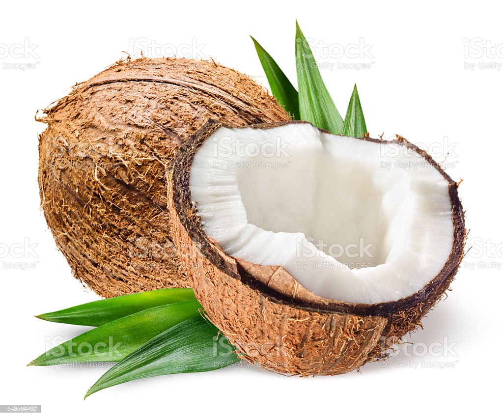 Detail Background Coconut Nomer 46