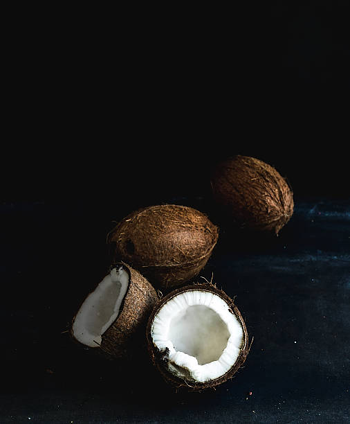 Detail Background Coconut Nomer 49