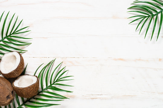 Detail Background Coconut Nomer 58