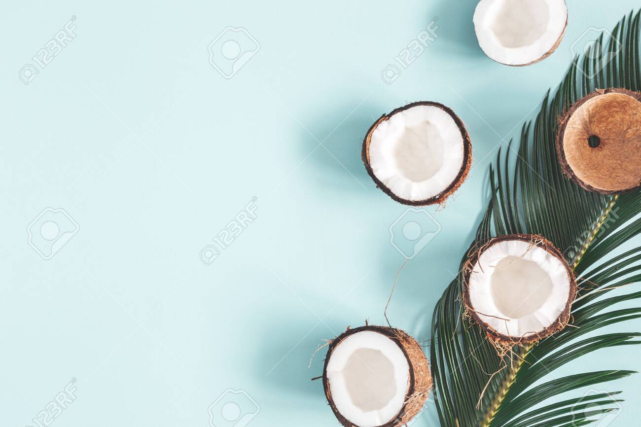 Detail Background Coconut Nomer 7