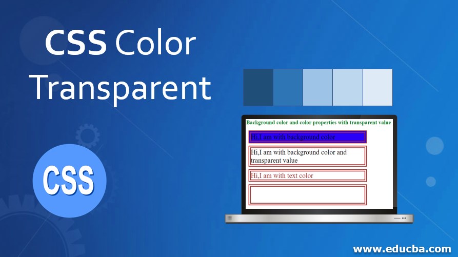 Detail Background Color Transparent Nomer 30