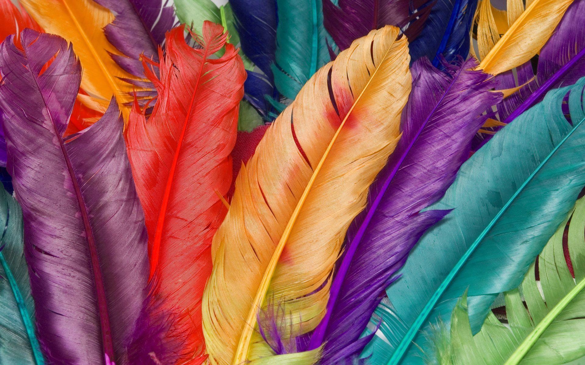 Detail Background Colorful Hd Nomer 27