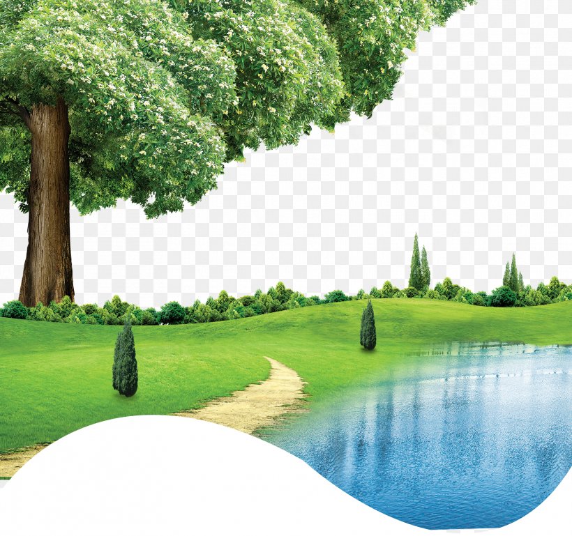 Detail Background Coreldraw Nomer 44