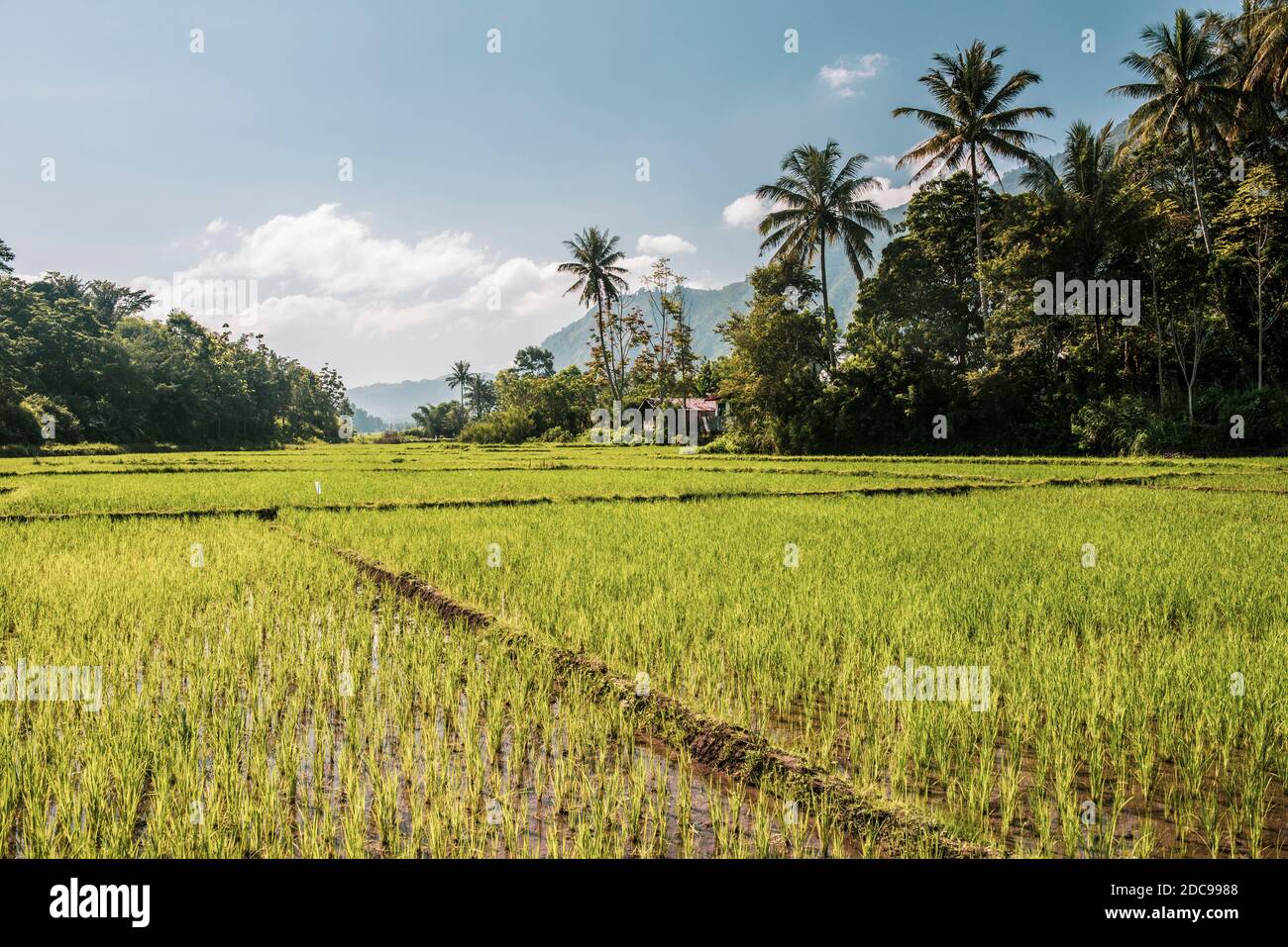 Detail Background Danau Nomer 51