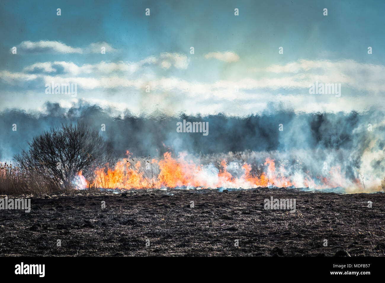 Detail Background Danger Nomer 8