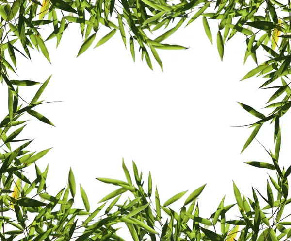 Detail Background Daun Nomer 4
