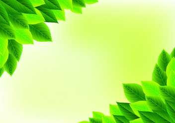 Detail Background Daun Nomer 41