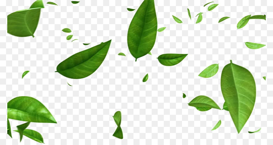 Detail Background Daun Nomer 48