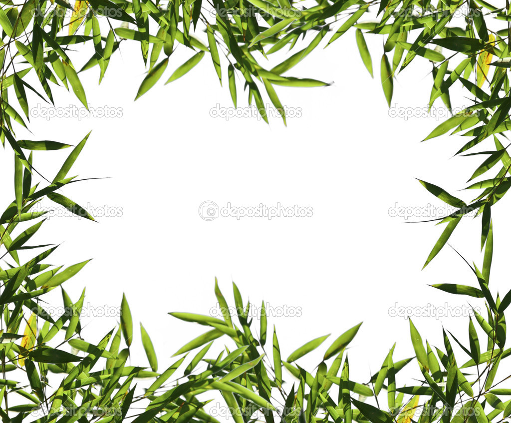 Detail Background Daun Nomer 50