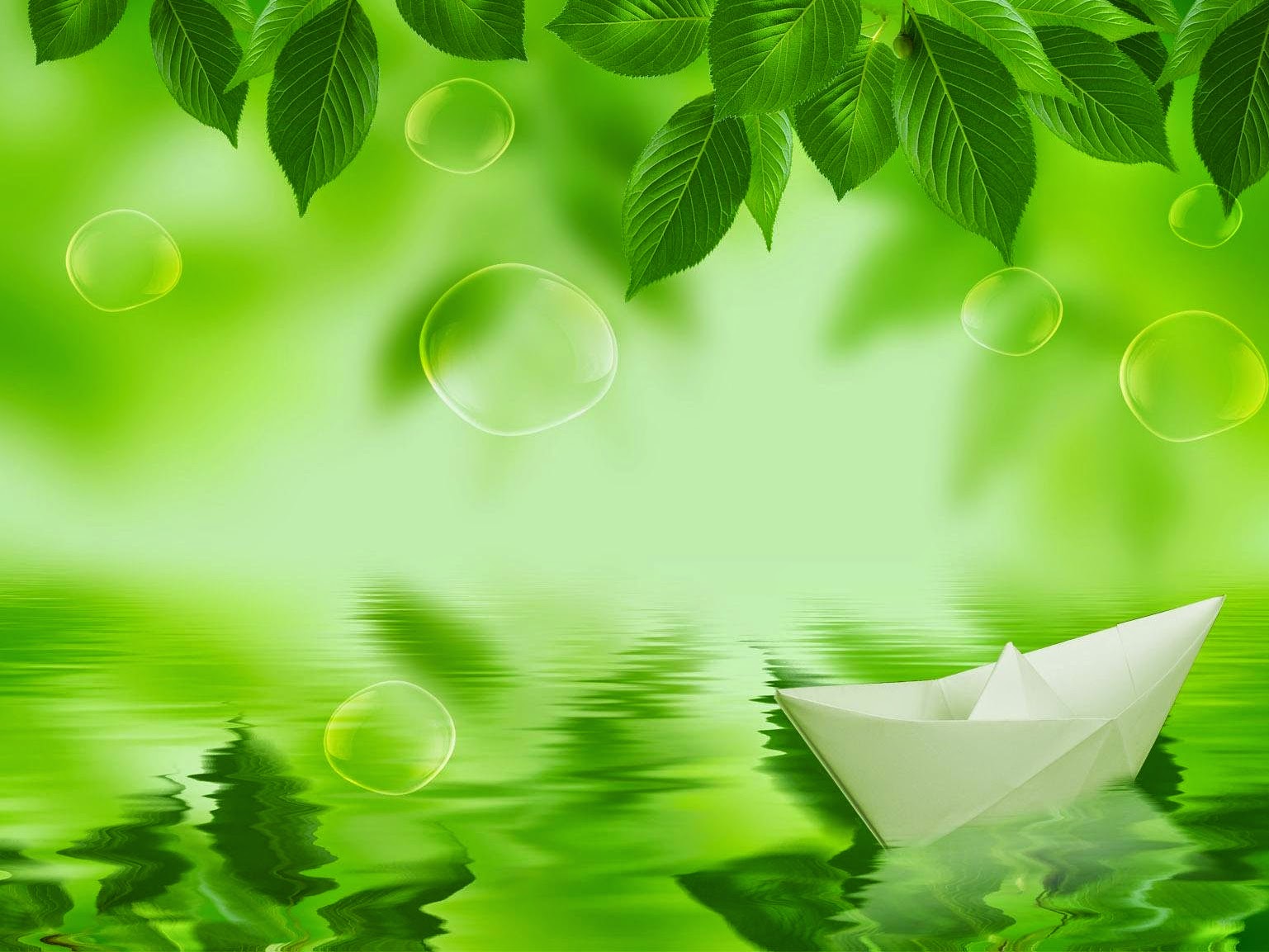Detail Background Daun Nomer 53