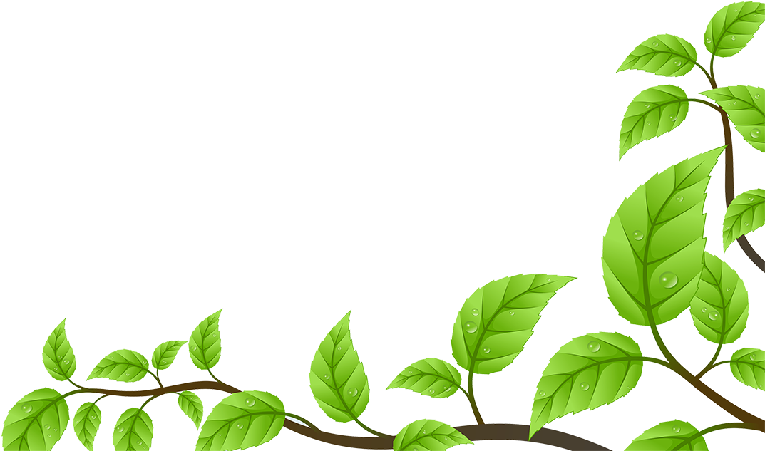 Detail Background Daun Nomer 10