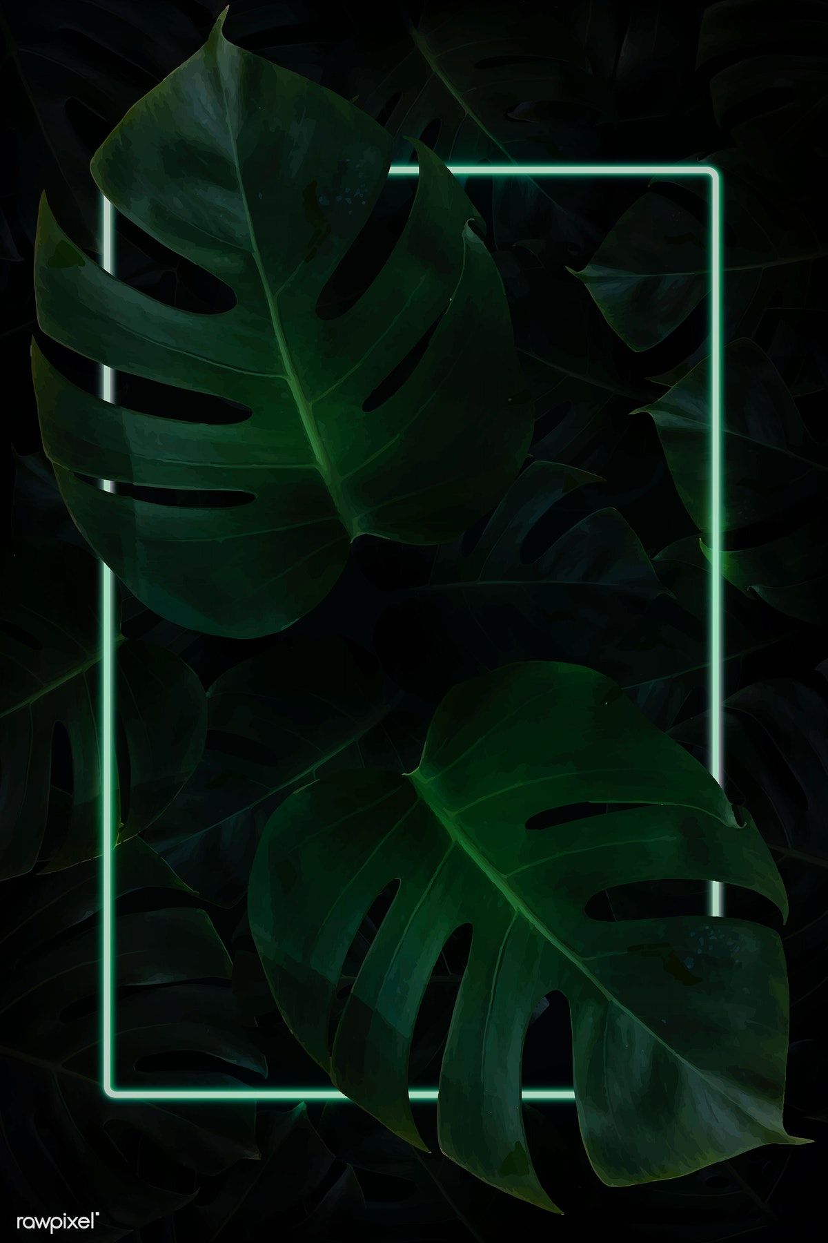Detail Background Daun Hijau Nomer 14