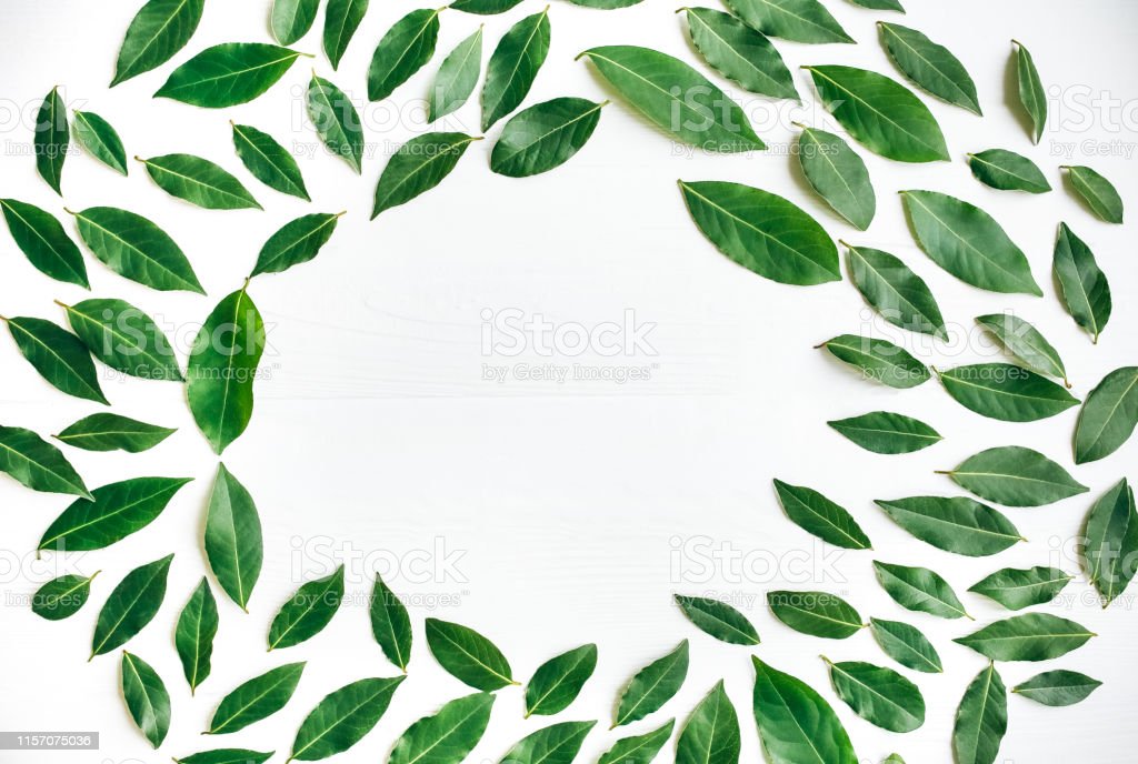 Detail Background Daun Hijau Nomer 27