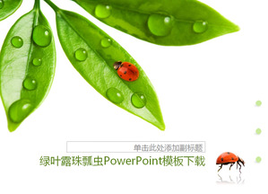 Detail Background Daun Hijau Power Point Nomer 44