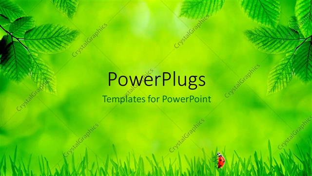 Detail Background Daun Hijau Power Point Nomer 50