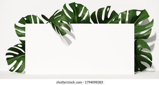 Detail Background Daun Monstera Nomer 15