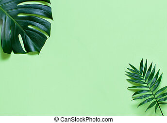 Detail Background Daun Monstera Nomer 16