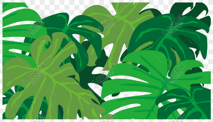 Detail Background Daun Monstera Nomer 25