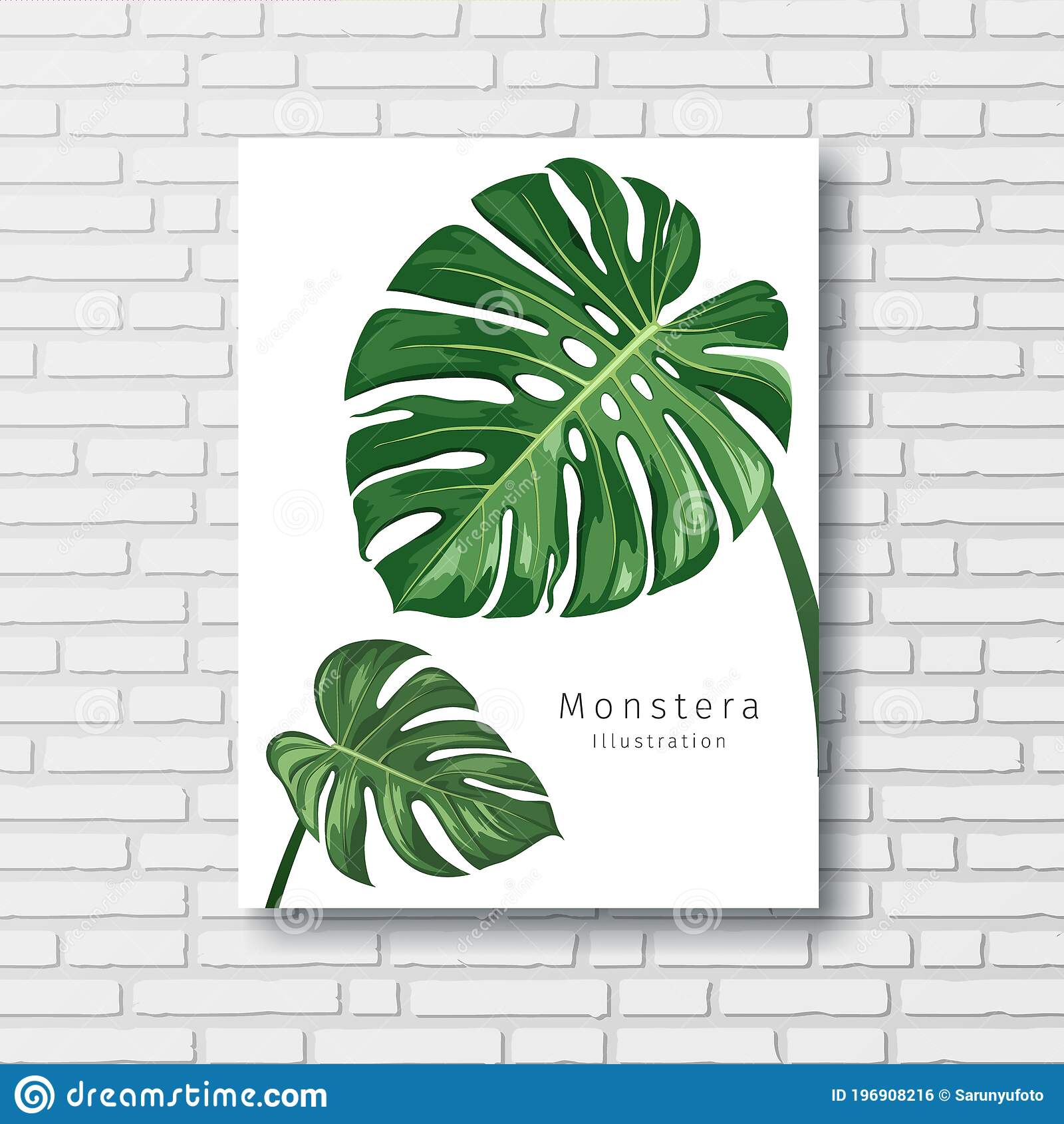 Detail Background Daun Monstera Nomer 34