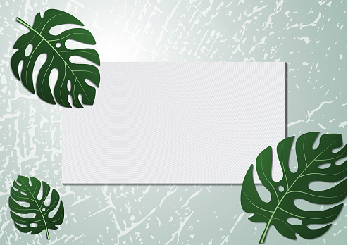 Detail Background Daun Monstera Nomer 7