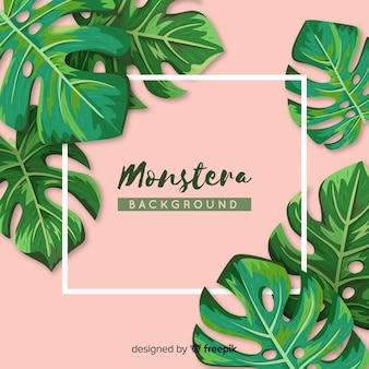 Detail Background Daun Monstera Nomer 10