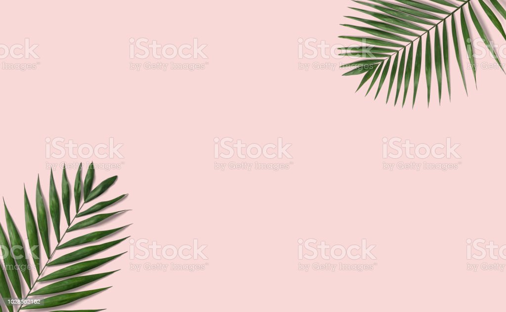 Detail Background Daun Pink Nomer 2