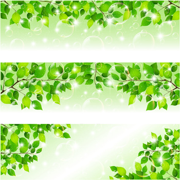 Detail Background Daun Vector Nomer 21