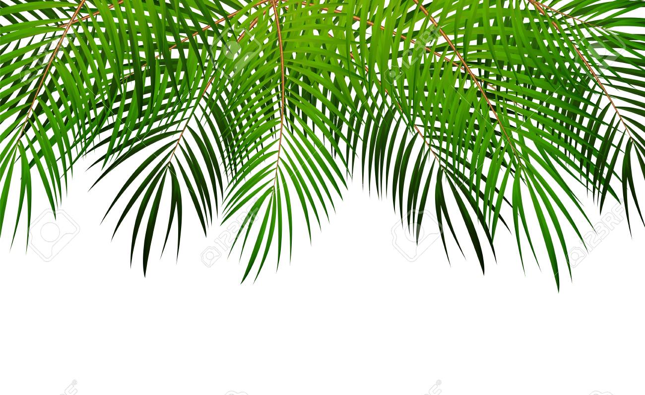 Detail Background Daun Vector Nomer 37