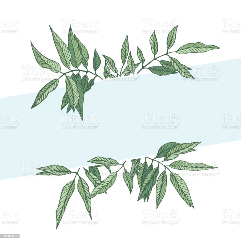 Detail Background Daun Vector Nomer 40