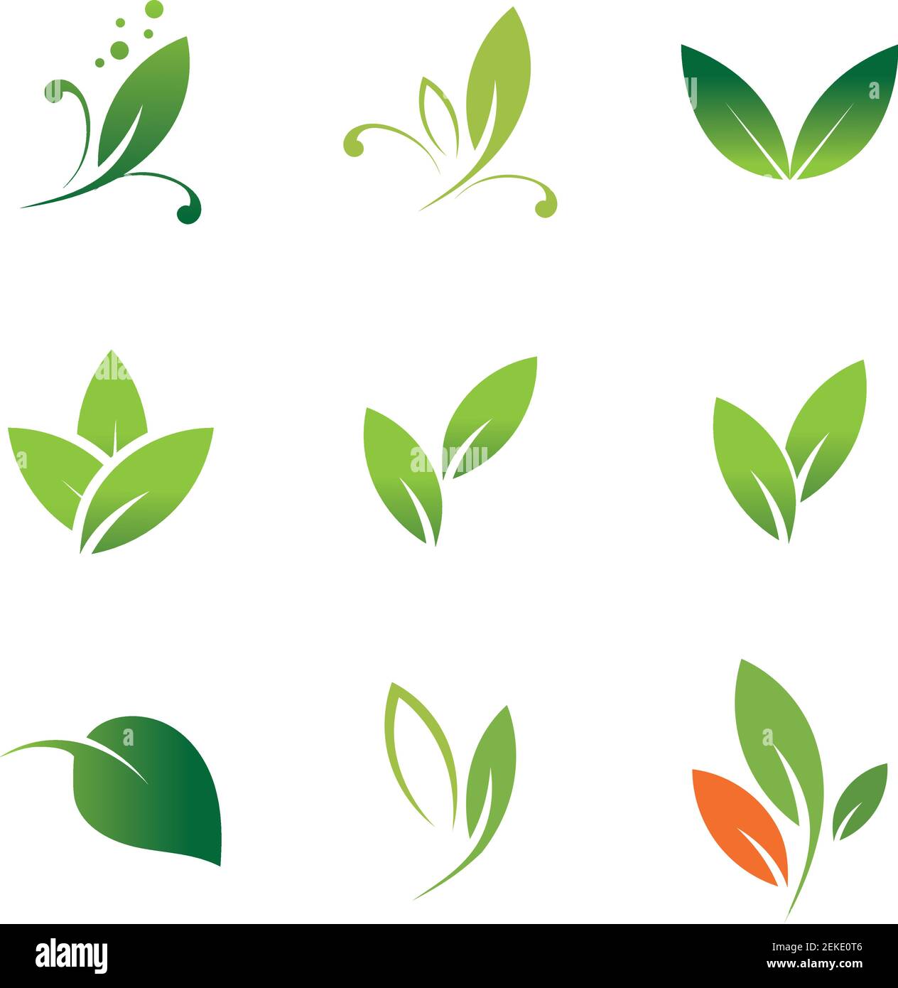 Detail Background Daun Vector Nomer 45