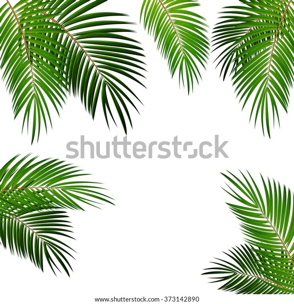 Detail Background Daun Vector Nomer 54