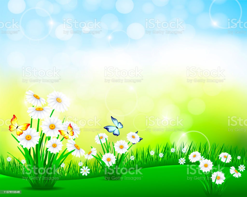 Detail Background Design Nature Nomer 21