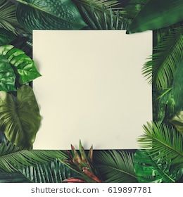 Detail Background Design Nature Nomer 38